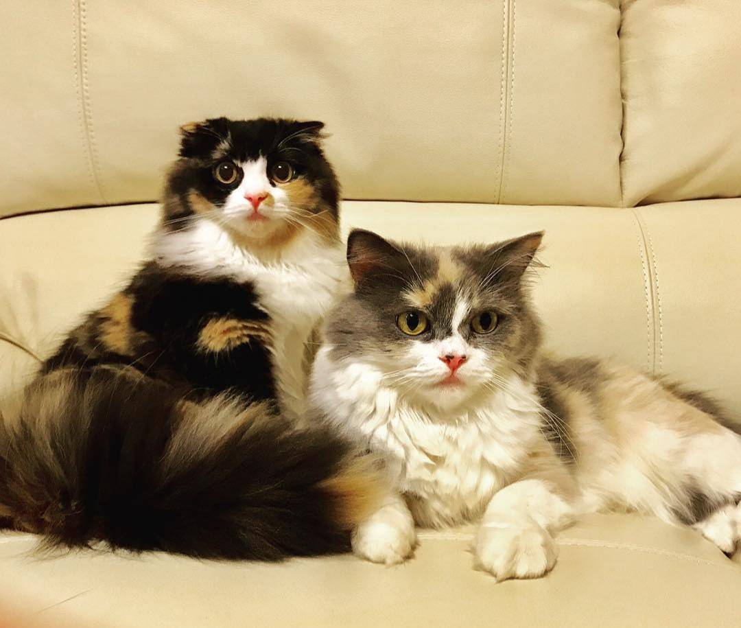 是永巧一 tweet media