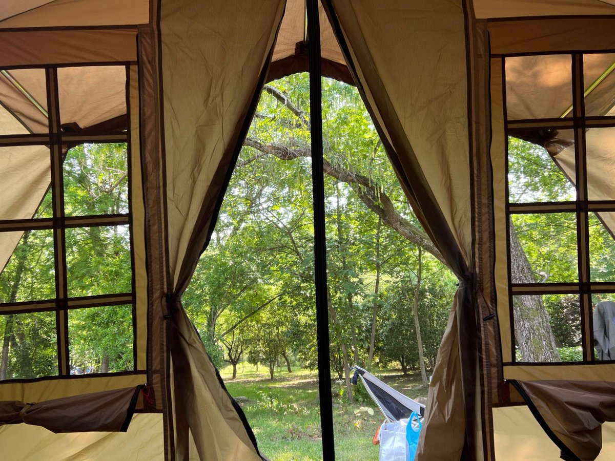 Paulos Daniel tweet media