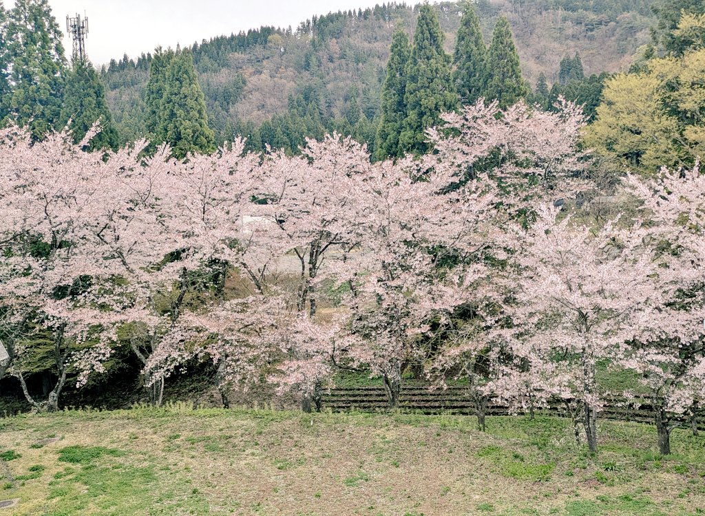 の ん の ん tweet media