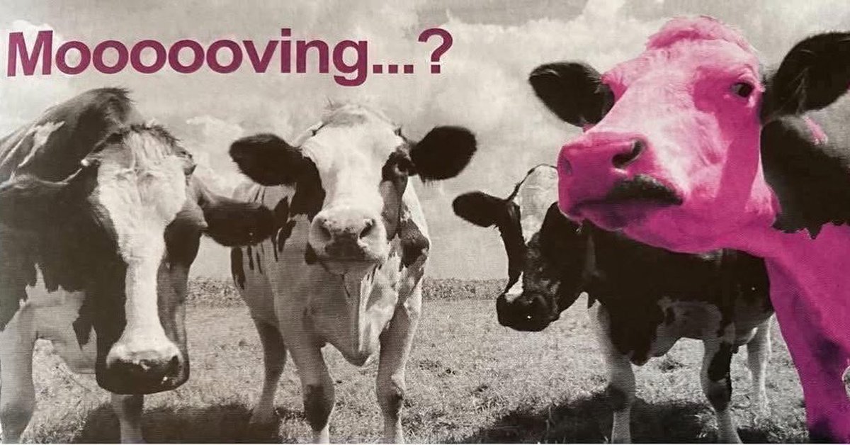 allaboutnewport's tweet image. Thinking of MOOOOOVING  house?  Buying, selling or renting? 

Call Barker Healey Property Limited on 01952 813625 or contact 👉 allaboutnewport.co.uk/newport-shrops…

Make sure your PROPERTY stands out from the crowd….

#movinghouse #buyinganewhome #allaboutnewport #property #estateagents