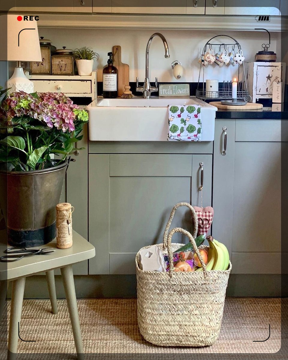 Eva Sanchez tweet media