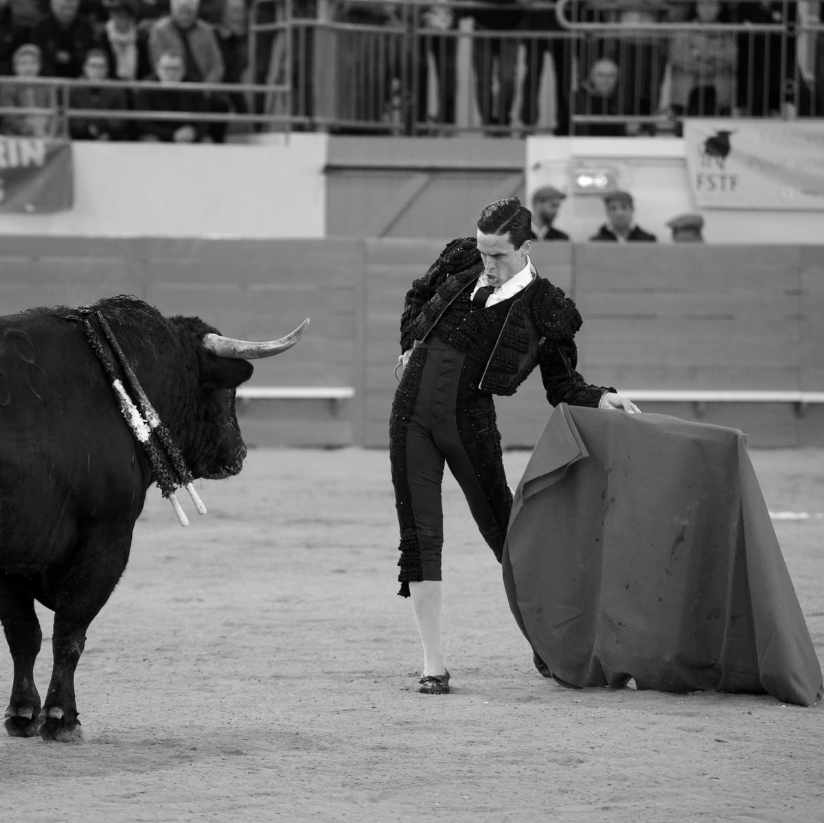 deporteytoro's tweet photo. ✍️ ‹‹La elegancia de David Galván se impone en Gamarde››

#davidgalvan #gamarde #tauromaquia #temporada26 #arte @infodavidgalvan

➡️ Leer artículo completo: https://t.co/veYWLpvkPF https://t.co/J932WLpsth