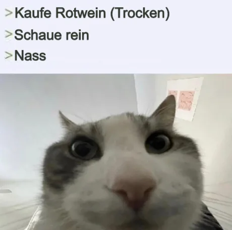 #Meme #Wein