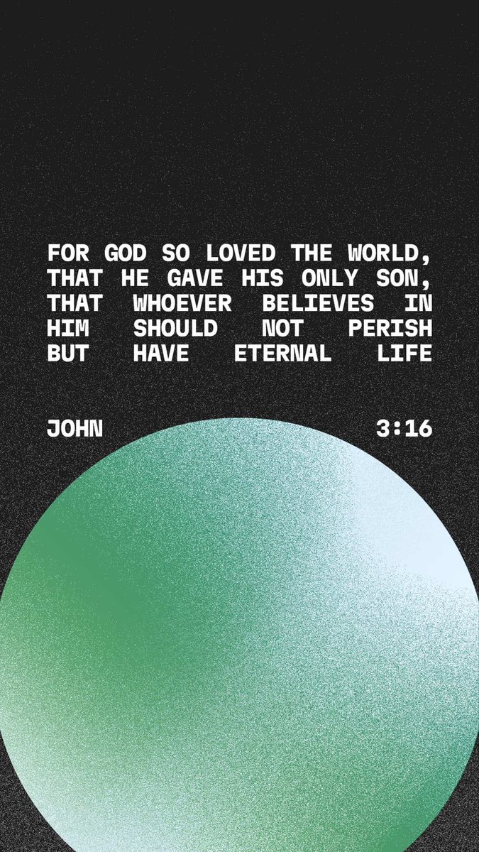 ☘️Shannon ☘️ tweet media