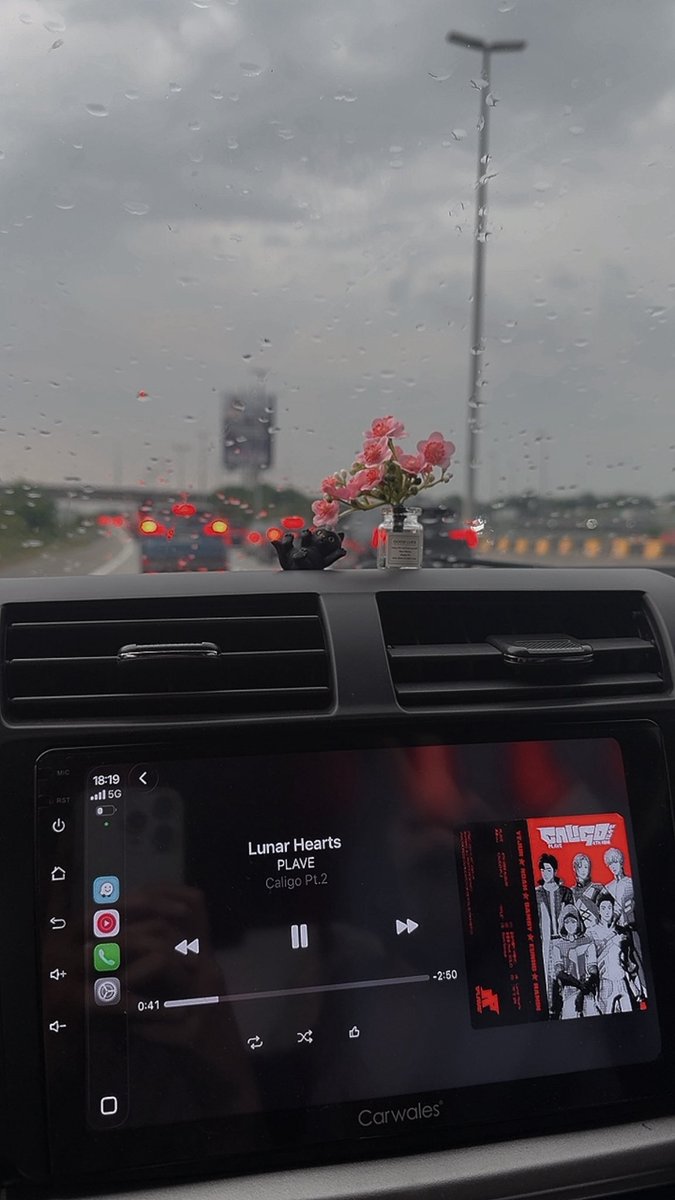 ࣭ᵖᵗ² ⭑ tweet media