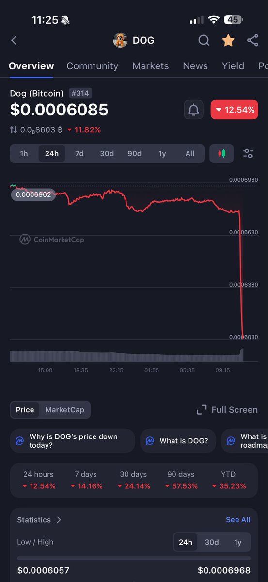 $DOG_Zolee tweet media