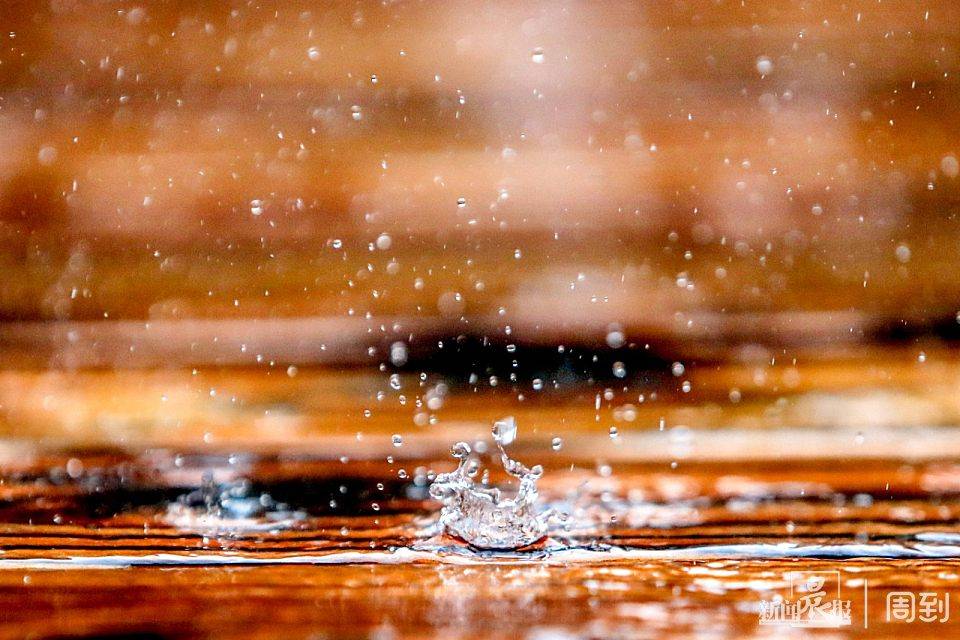 lisa kolb tweet media