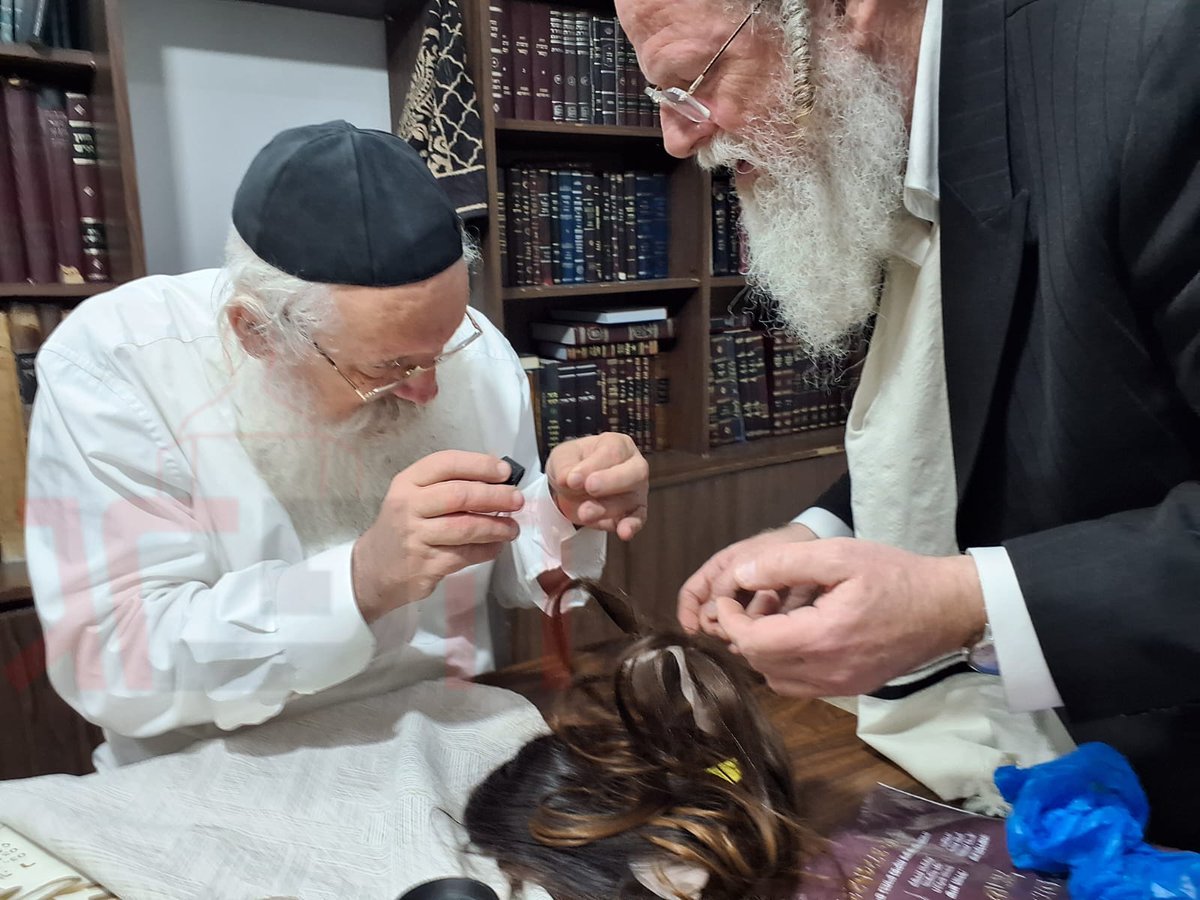 הפרגוד tweet media