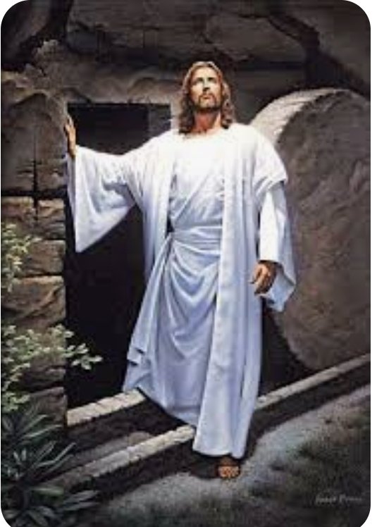 Este tema se está saliendo de control. El respeto a un Santo Padre, para los católicos es clave. Sí puede ser un tema de ruptura. Los límites son sanos y hay que saber, cuando han sido rebasados. Tiene que haber equilibrio en el órden. Tenemos que rectificar conductas, donde