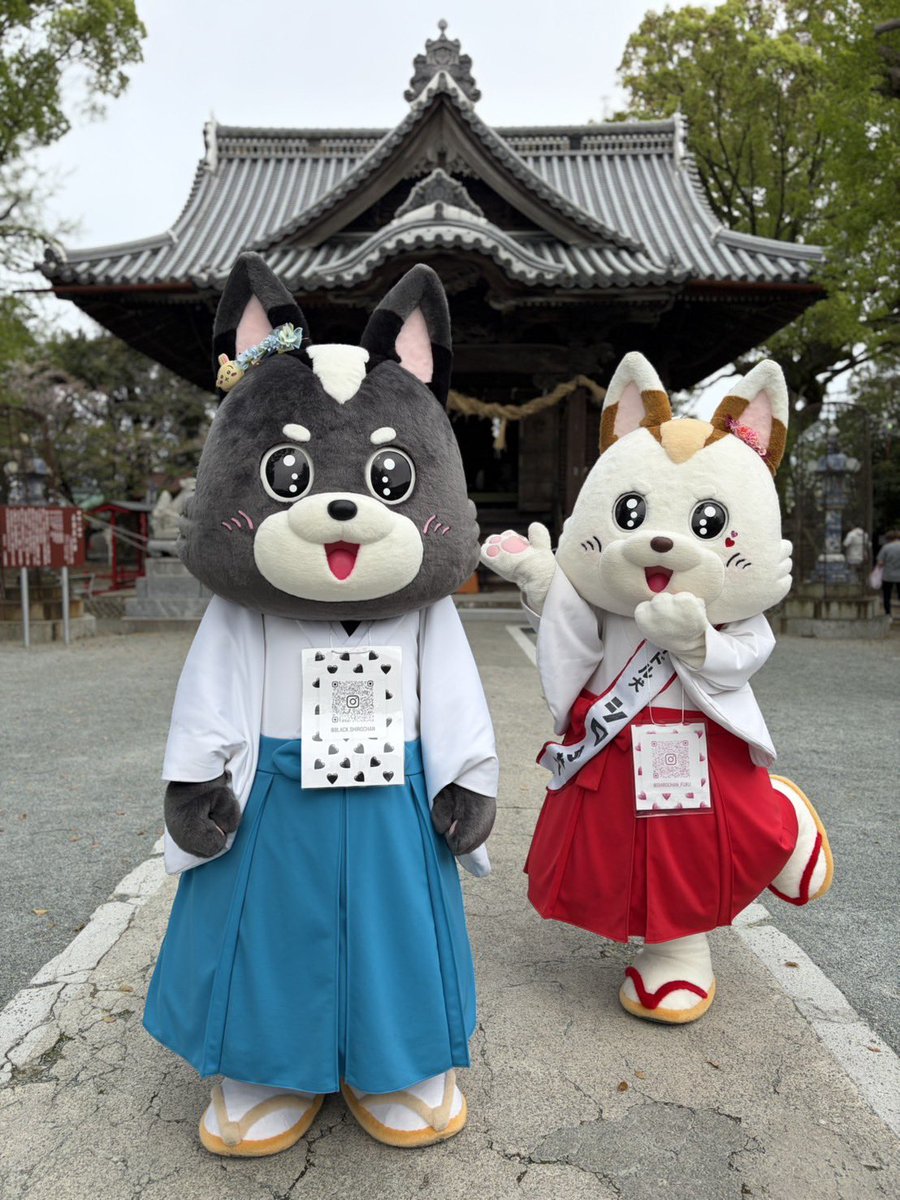 福島八幡宮シロちゃん【公式】 tweet media