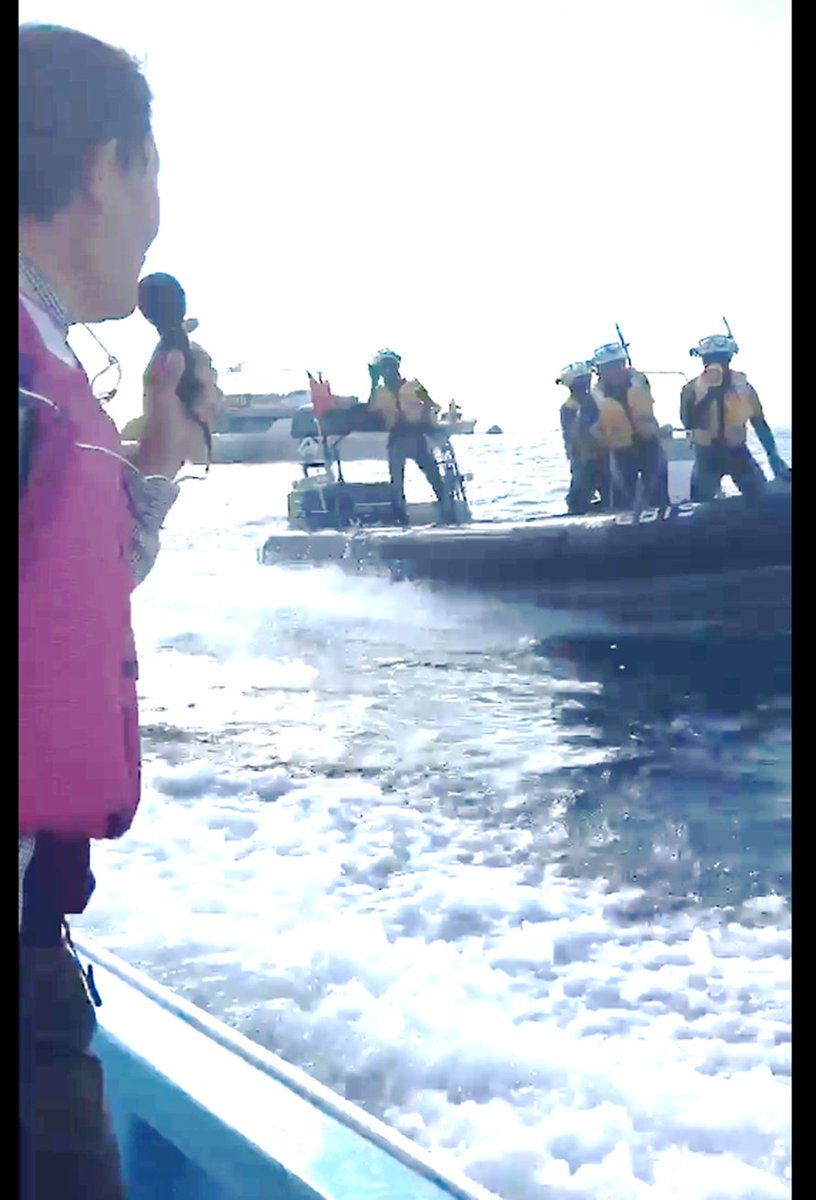 王の偉業達成を見届ける垢【好き嫌いコム観察】 tweet media