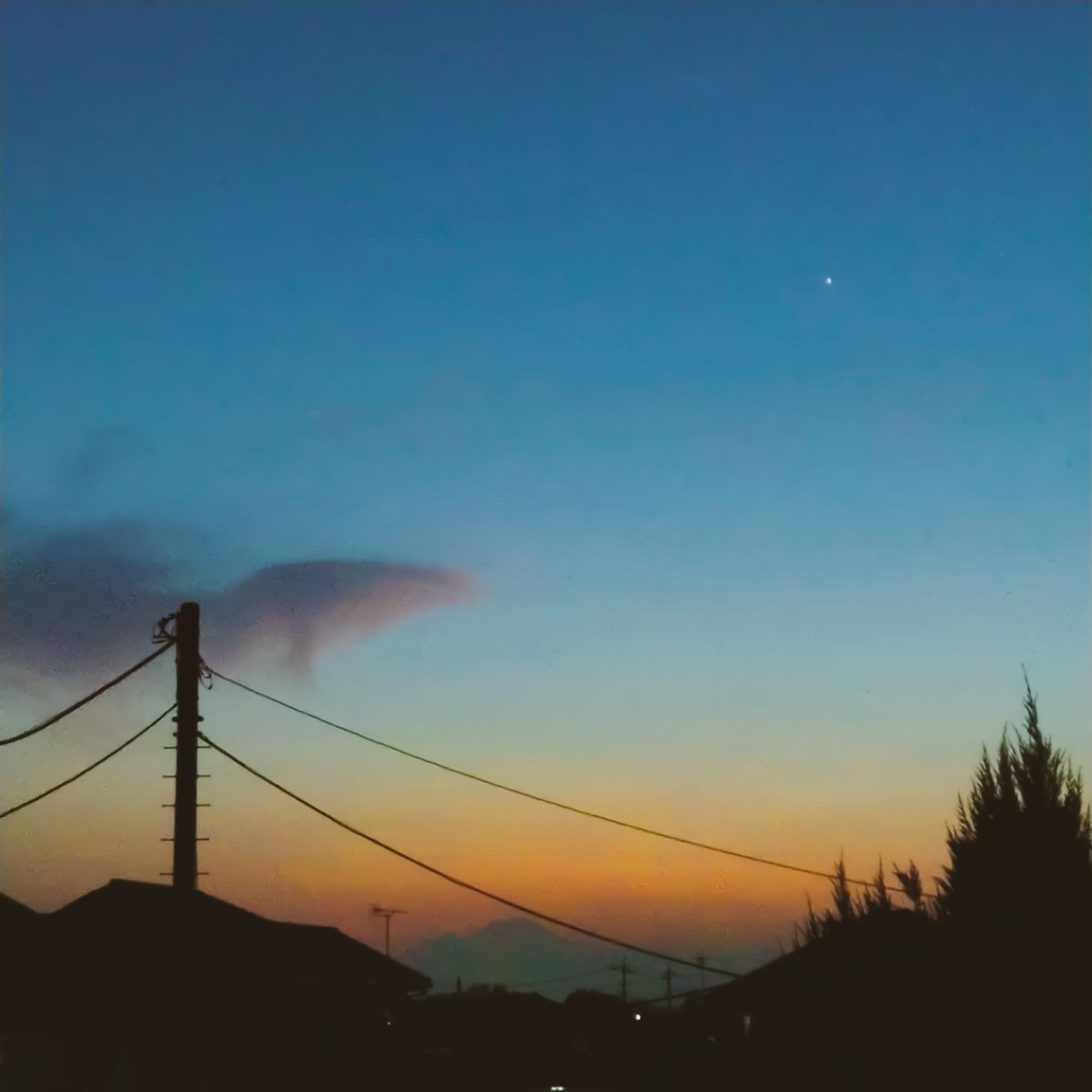 refill-free tweet media