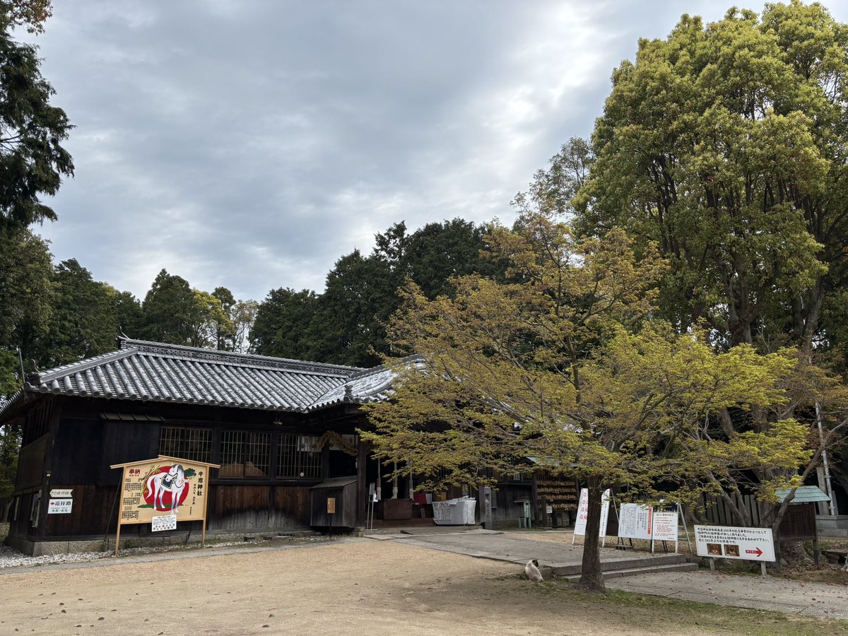 牛窓神社ネギの呟き@日本のエーゲ海 tweet media