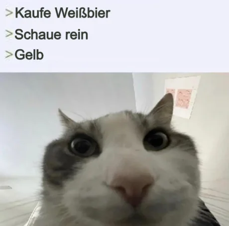 #Meme #Weissbier #Bayern