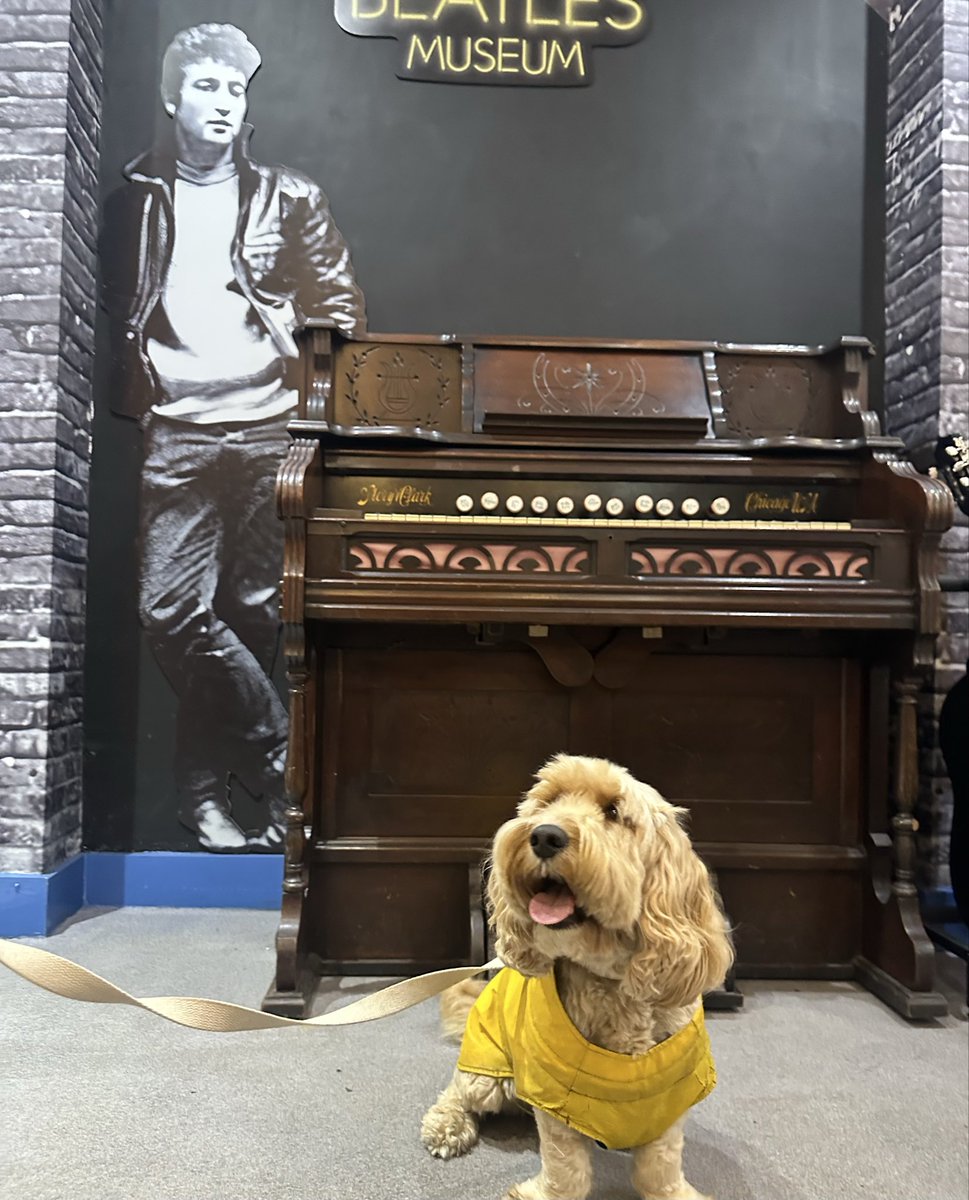 beatlesmuseum_'s tweet image. Our fury friend chilling with John here at The Liverpool Beatles Museum! 🐶 

How CUTE ☺️ 

Your fur babies are always welcome in The LBM! 🫶🏻

#dogfriendly #liverpoolbeatlesmuseum #beatlesmuseum #furbabies
