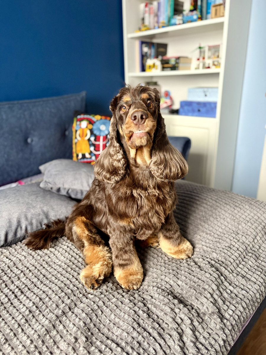 Magdalena Lewicka tweet media