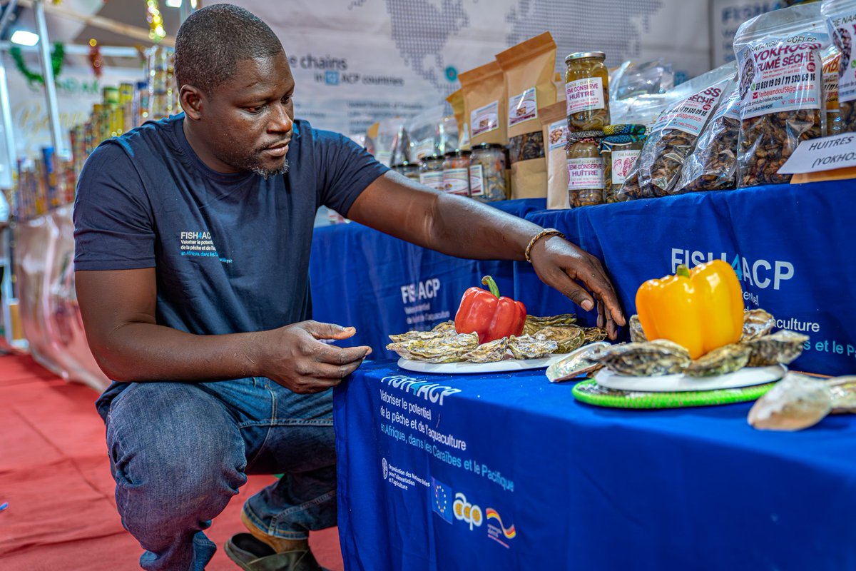 FAO au Sénégal tweet media