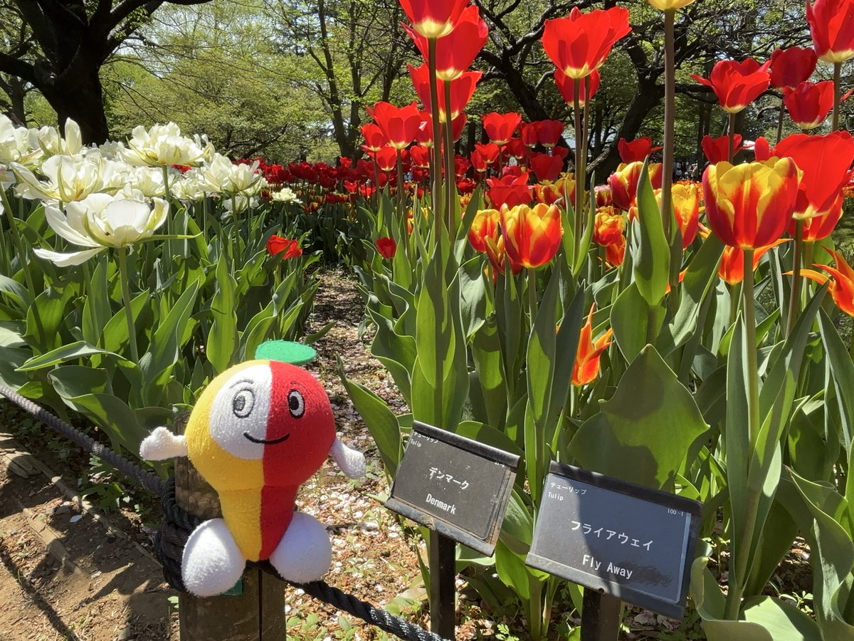 かわさきミュートン tweet media