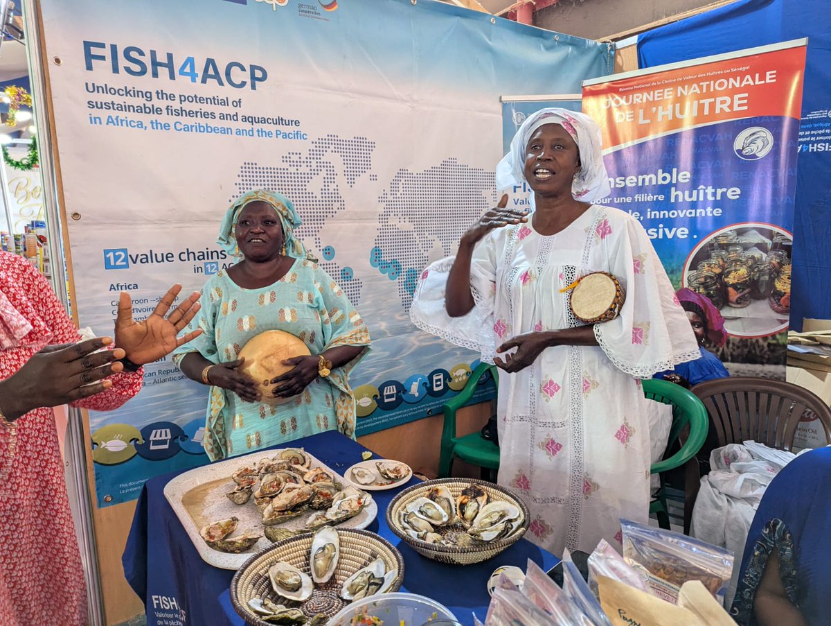 FAO au Sénégal tweet media