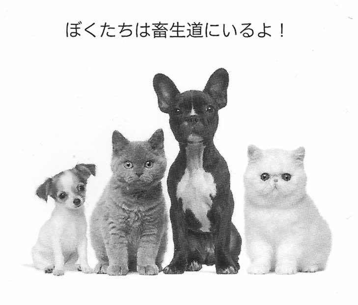 唯一むに🧠 桃猫堂仙台国分町コンカフェ tweet media