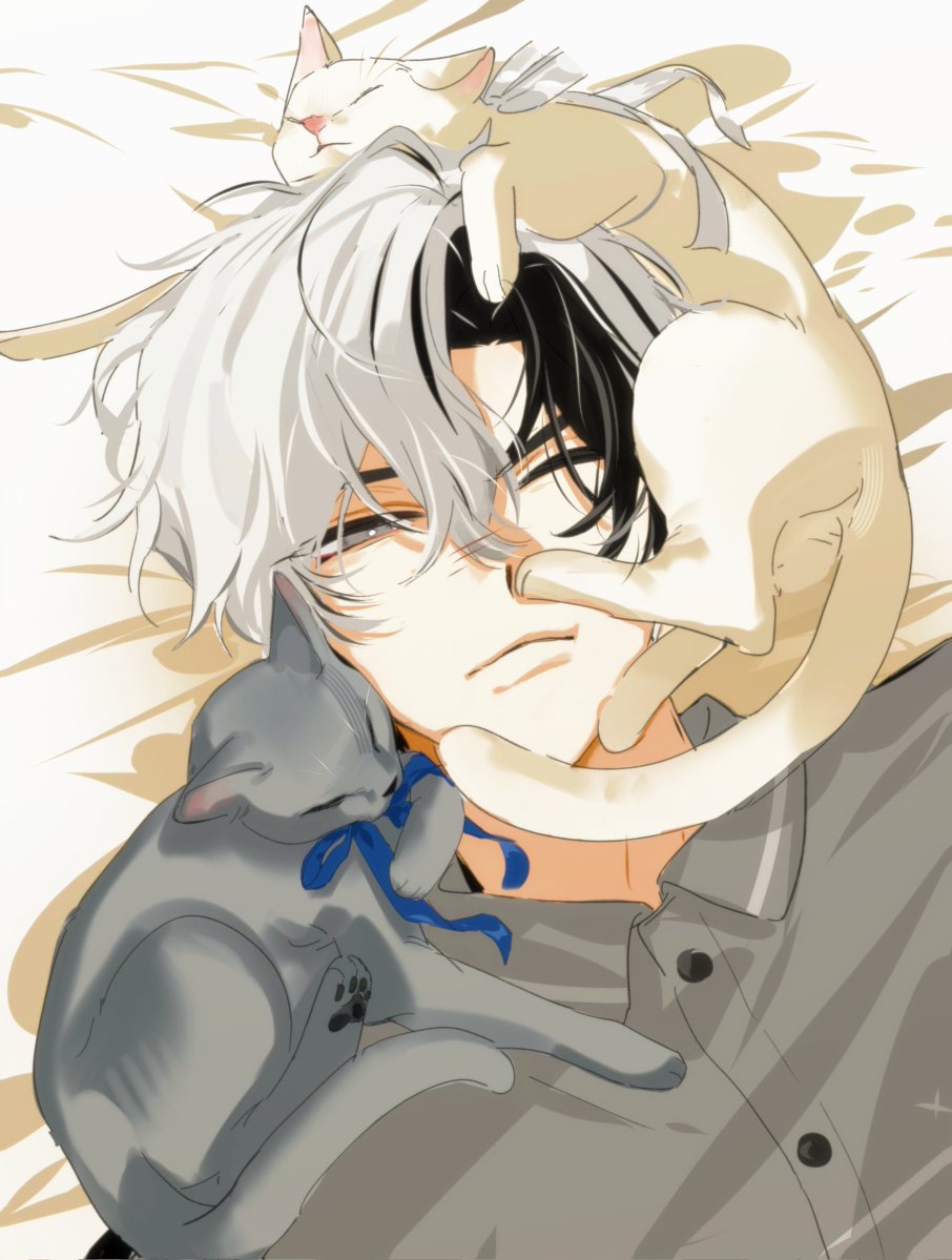 雪虎雷来了也得被猫踩脸