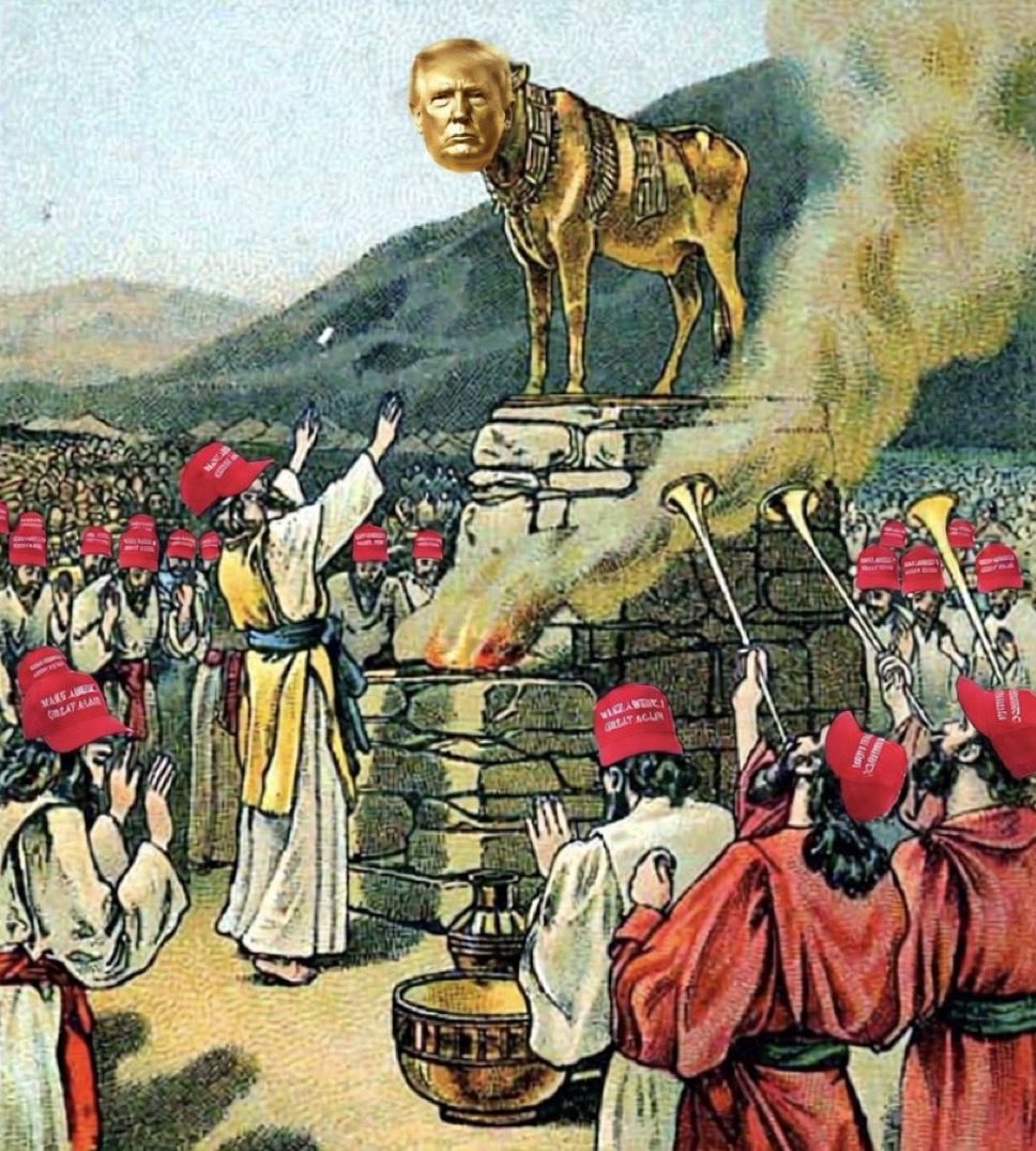 Carolina Mehrkens tweet media