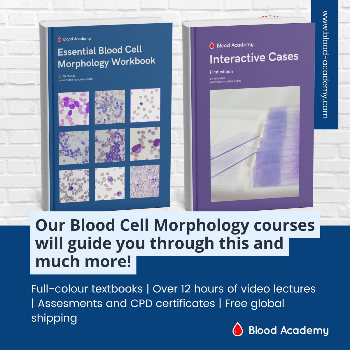 blood_academy's tweet photo. 5/5 Want to master blood cell morphology?
Our courses cover this and much more — full-colour workbooks, 12+ hours of video, interactive cases &amp; CPD certificates.
🌍 Free global shipping
👉 https://t.co/ri9KALvDzz
#Haematology #BloodFilm #FRCPath #MorphologyMonday #BloodAcademy https://t.co/qYYlOzdbyH