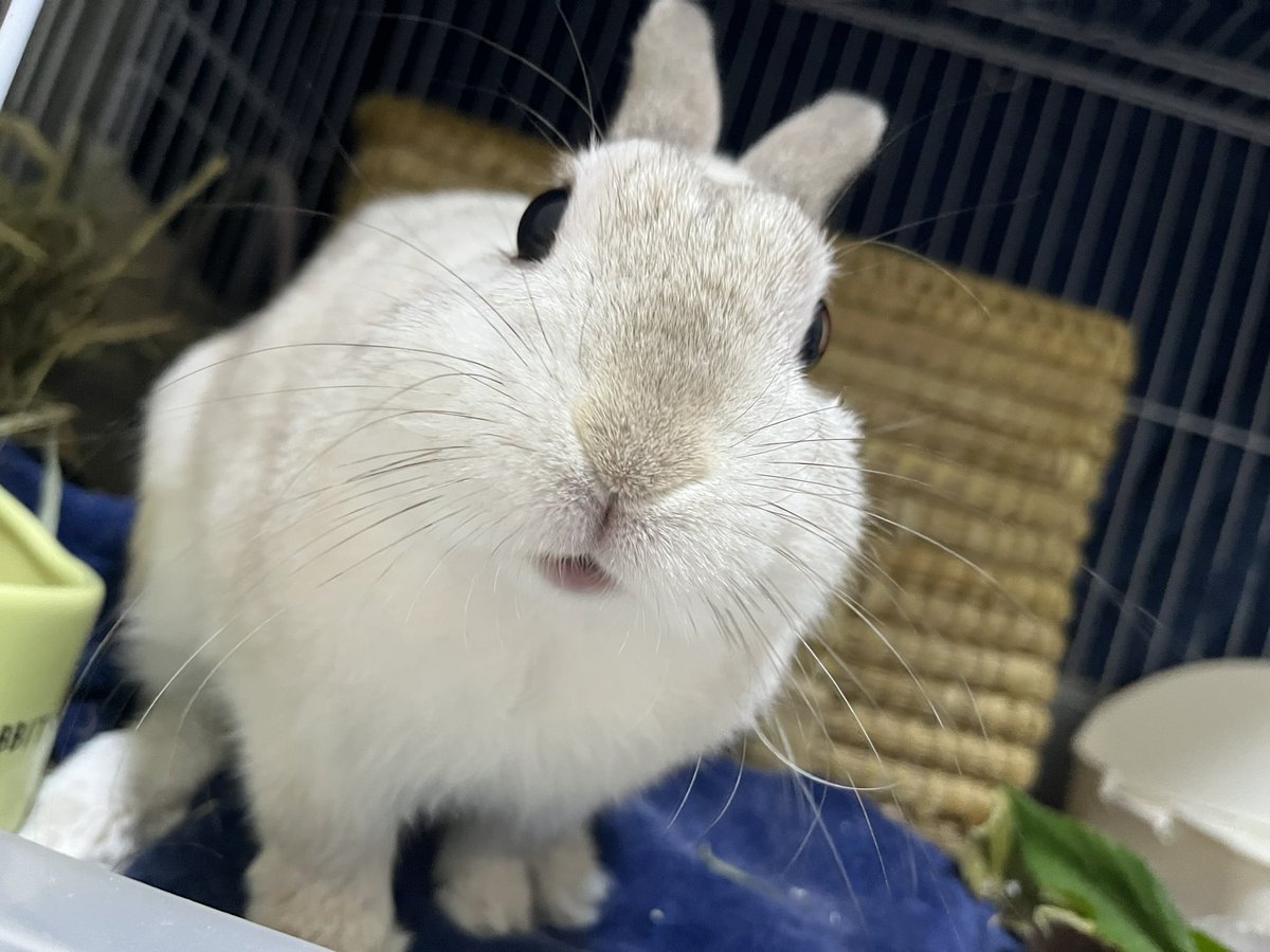 FullMoon tweet media