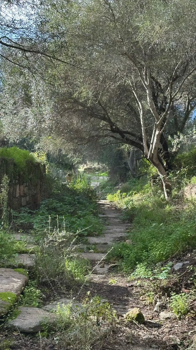 Sabrine 🇩🇿 tweet media