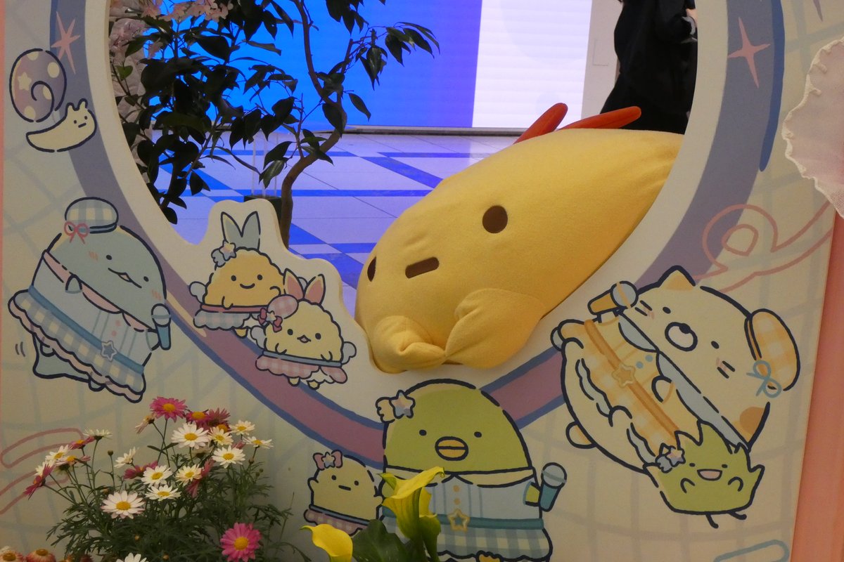 鳥類(ｱﾋﾙ) tweet media