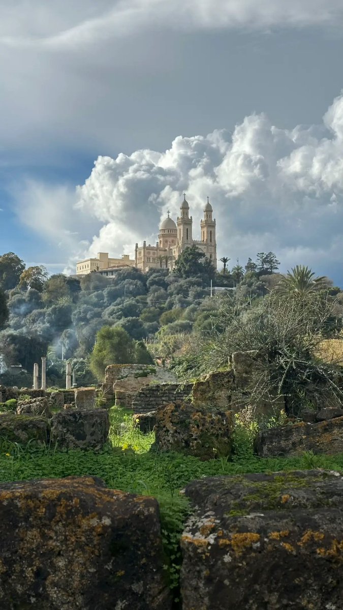 Sabrine 🇩🇿 tweet media