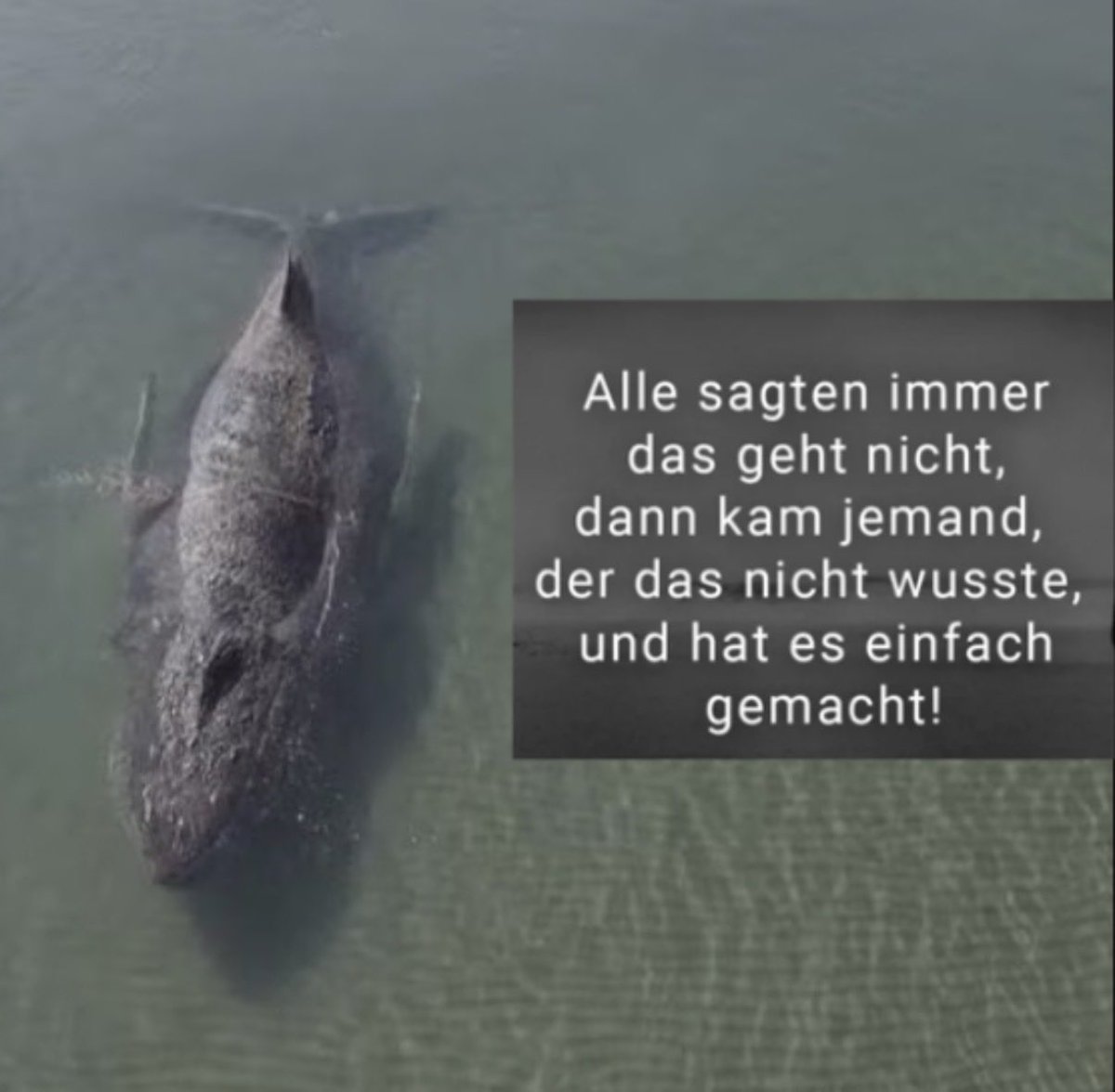 DΞЯ ΞISMДИИ tweet media