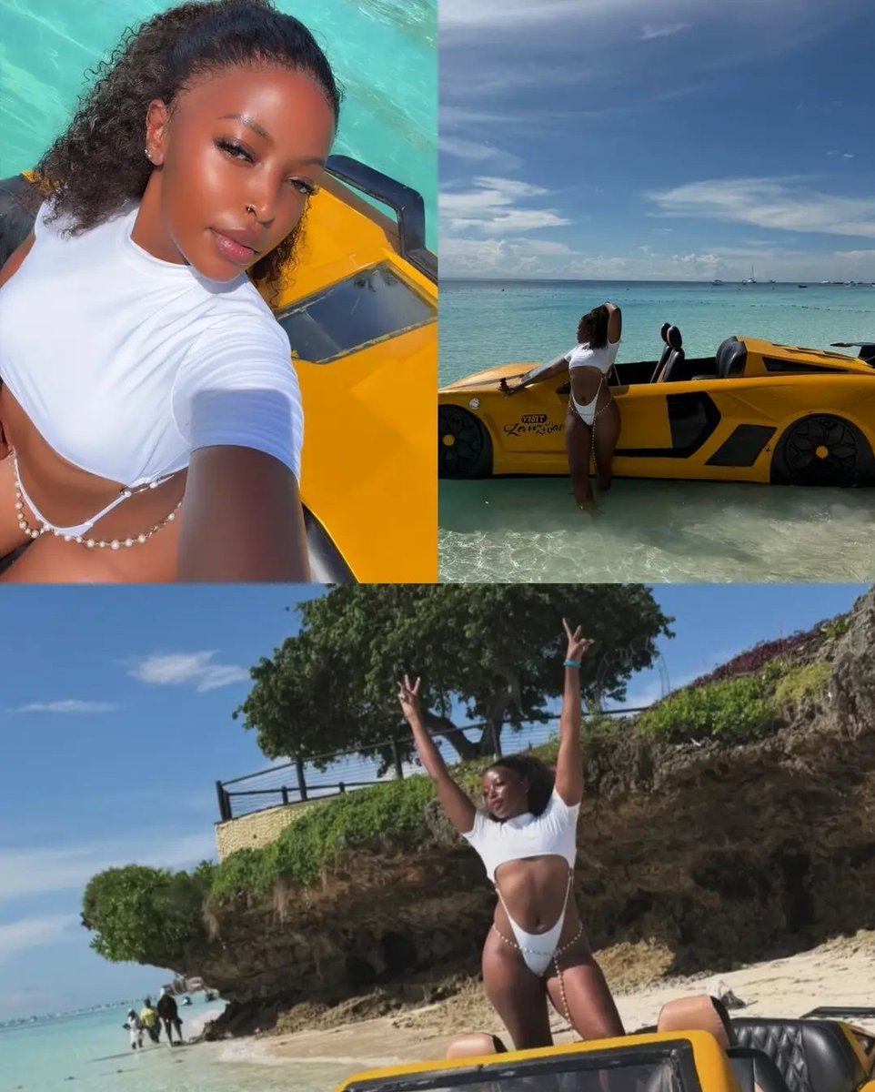 Mastardcesh tweet media