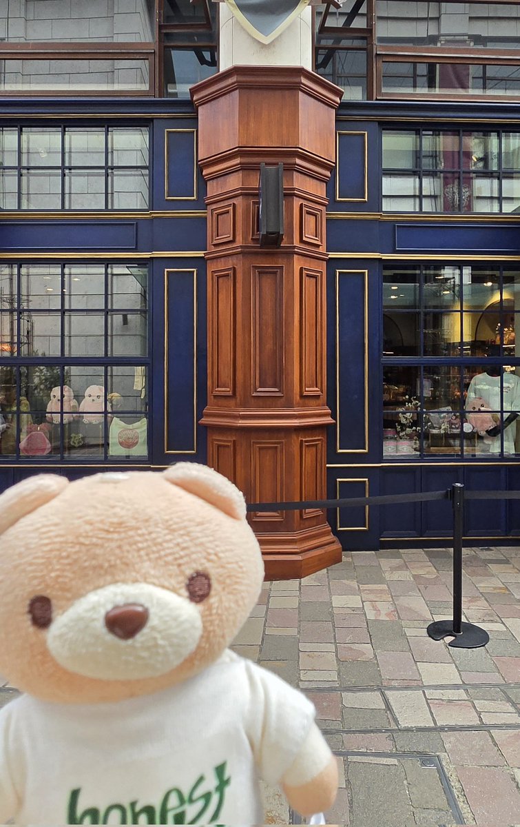 shiiichan🐥🍊 tweet media