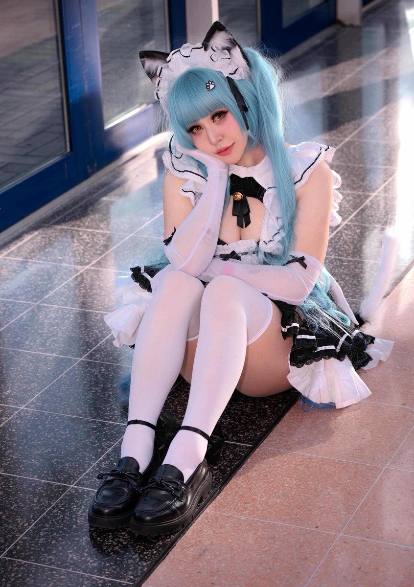 mimi /ᐠ - ˕ -マ ᶻ 𝗓 𐰁 tweet media