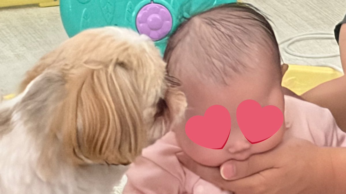 pom ୨୧ 3m tweet media