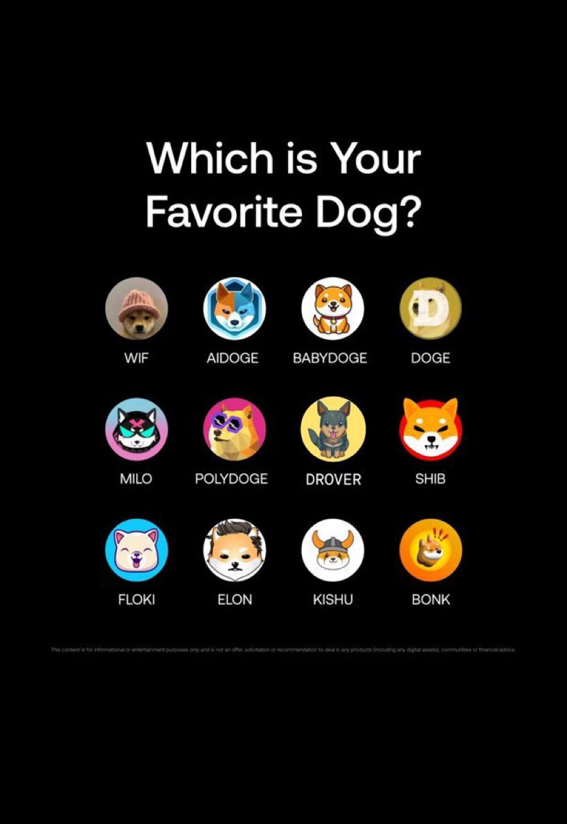 alicegrace22244's tweet photo. Which is your most favourite Dogs? 

#Housecoin #hydrachain $CKOM #Ping #WIF #Aidoge #BabyDoge #Doge

#Milo #PolyDoge  #Shib $Dogs

#Elon #Kishu #Floki #BONK https://t.co/LzfEOIzTXw