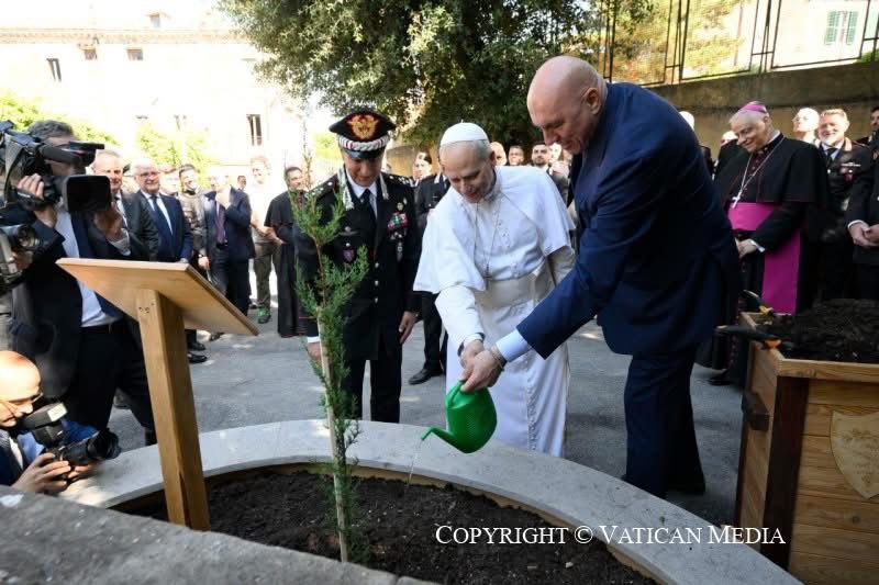 Guido Crosetto tweet media