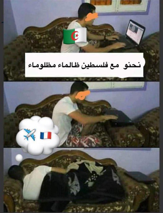 prince of Arabs tweet media