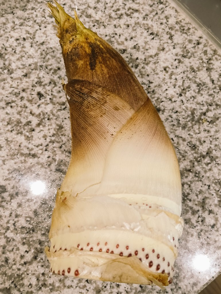 キンチー tweet media