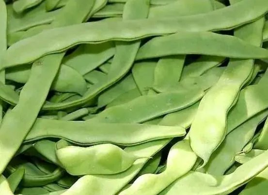 Federico Merciaro tweet media