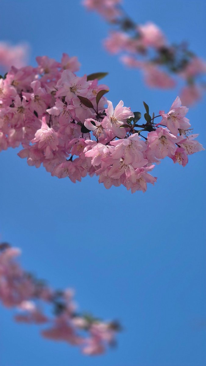 이지🦈 tweet media