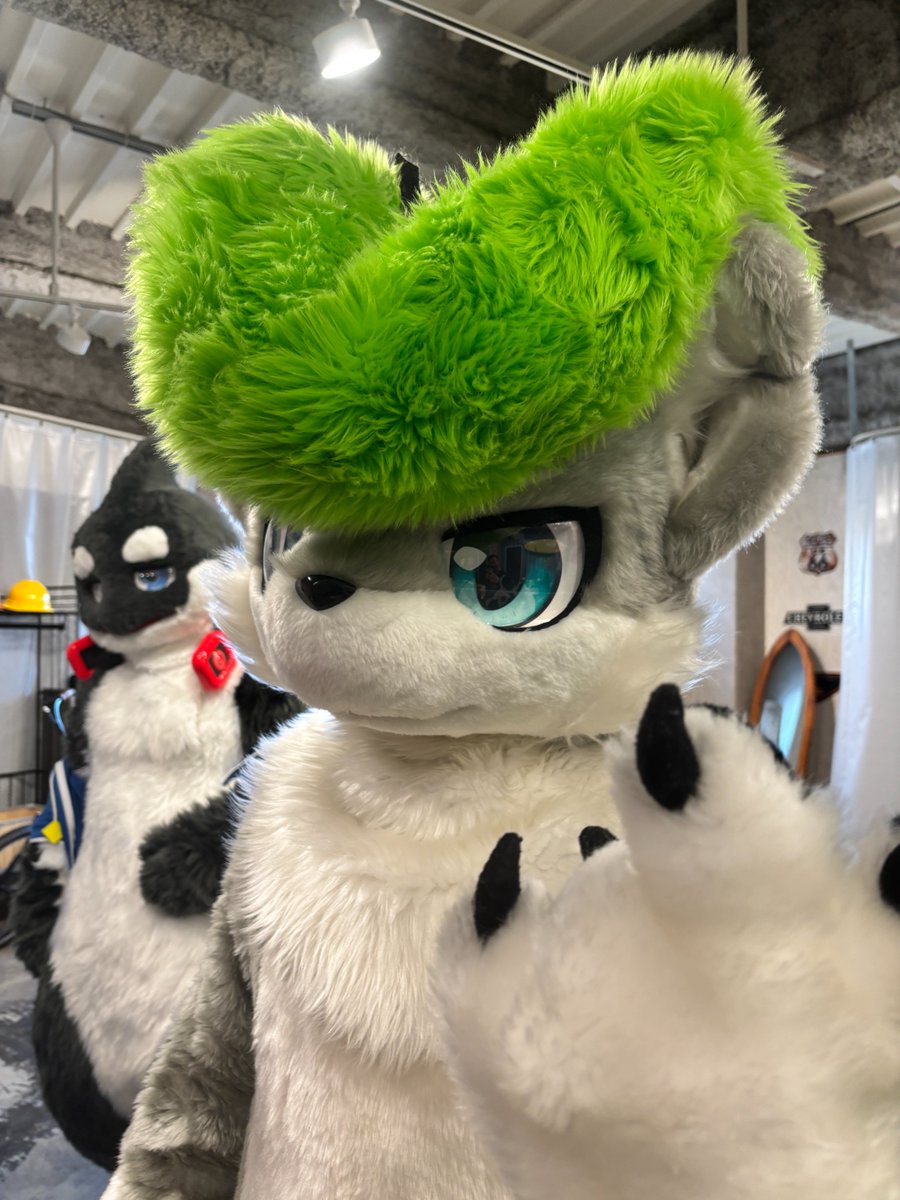 オプト🐾 tweet media