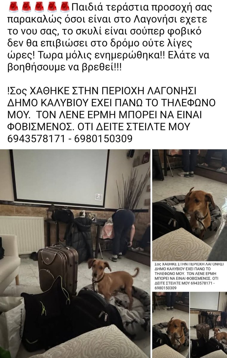 Χλε_Μπονα Σαμερ tweet media