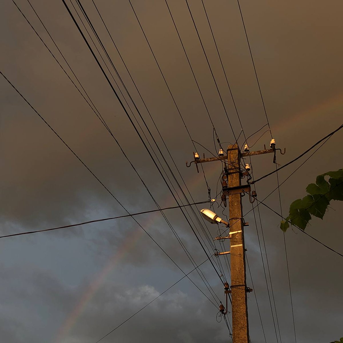 ENHYPEN IS 7 tweet media