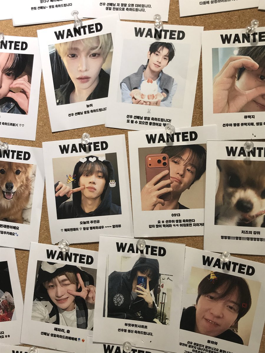 선우꽁 tweet media