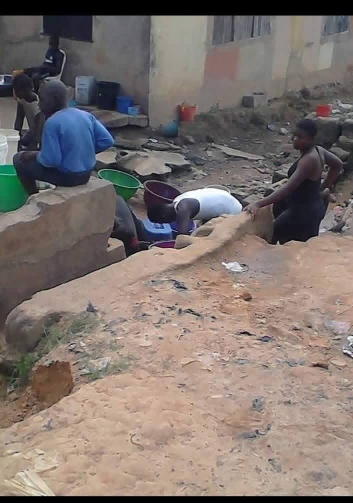 Nedu Ani tweet media