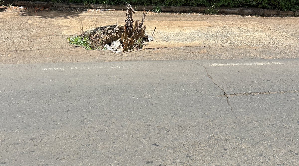 Alfayaz 11 tweet media