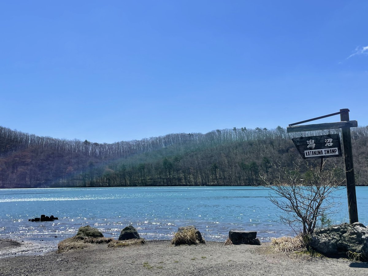 はみー(*^▽^*) tweet media