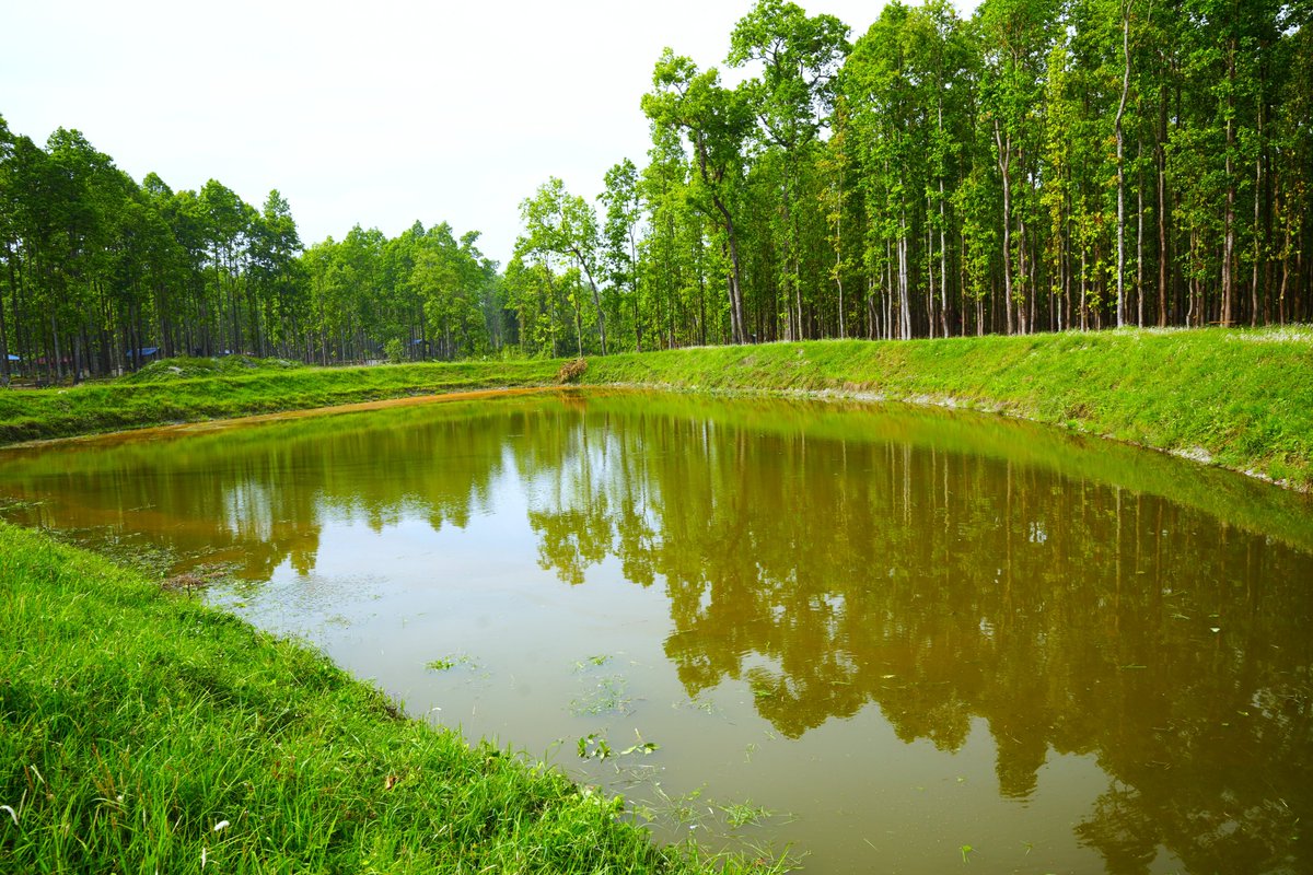 BRCRN2020's tweet photo. How does climate finance drive tangible results? Look at the #BRCRN project in Nepal.
FAOR for 🇧🇹 and 🇳🇵Mr Ken Shimizu &amp; senior officials from PMU observed how @theGCF funded interventions like conservation ponds are strengthening communities and restoring vital ecosystems. https://t.co/u8f4o6sR5M